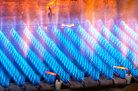 Lydiard Tregoze gas fired boilers